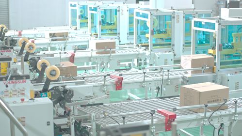 福貝寵食4.0智能工廠 引領寵物食品智能制造新時代